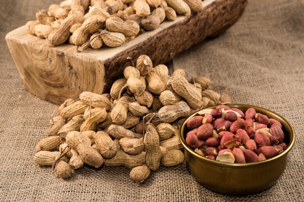 Science Got Peanut Allergies Wrong — Until It Got Them Right