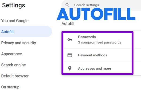 Chrome Autofill Adds Passport & License Info