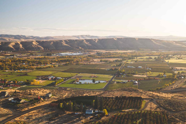 Sunny U.S. Gem With Top Craft Beer Scene