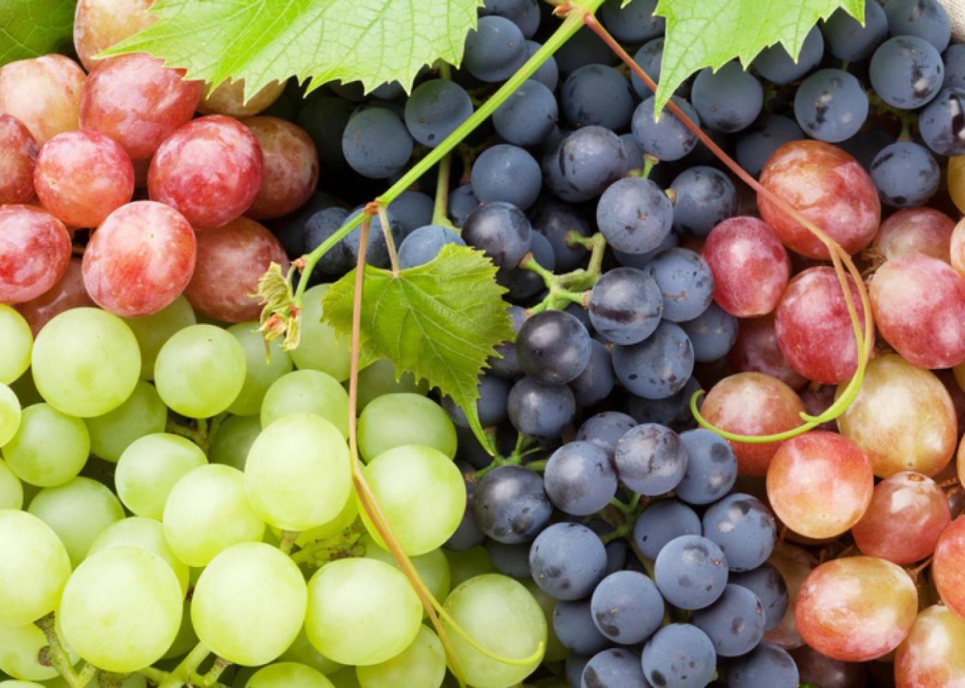 Are Grapes Really Healthy?