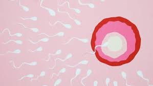 Cancer Gene Sperm Donor Fathers 197 Kids